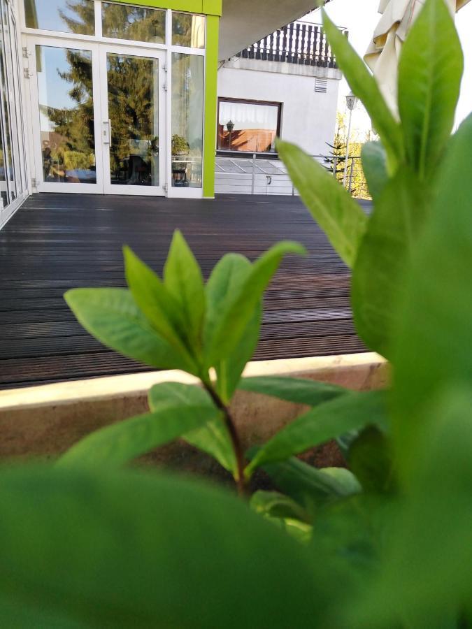 Hotel Froehlich-Hoeche อุสลาร์ ภายนอก รูปภาพ